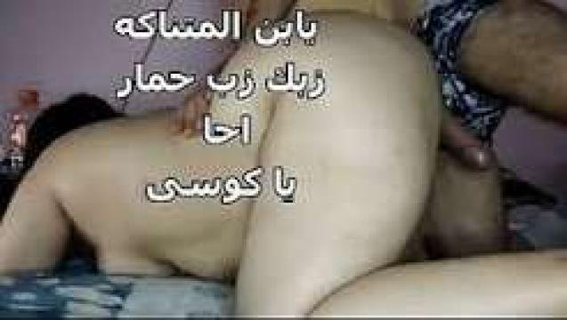 توسيع خرم طيز لبوه مصريه مشتهيه xnxx