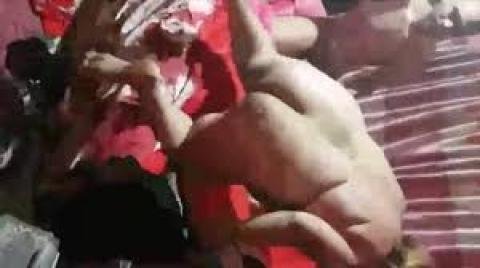 المصري الفرعون يمسك مليف وكسها هاتك فشخ علي الواقف